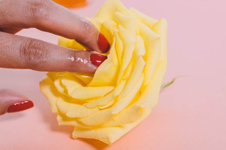 A person's fingers touching a yellow rose

AI-generated content may be incorrect.